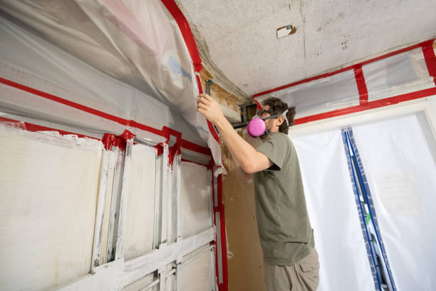 Best Biohazard Mold Removal  in Lewes, DE
